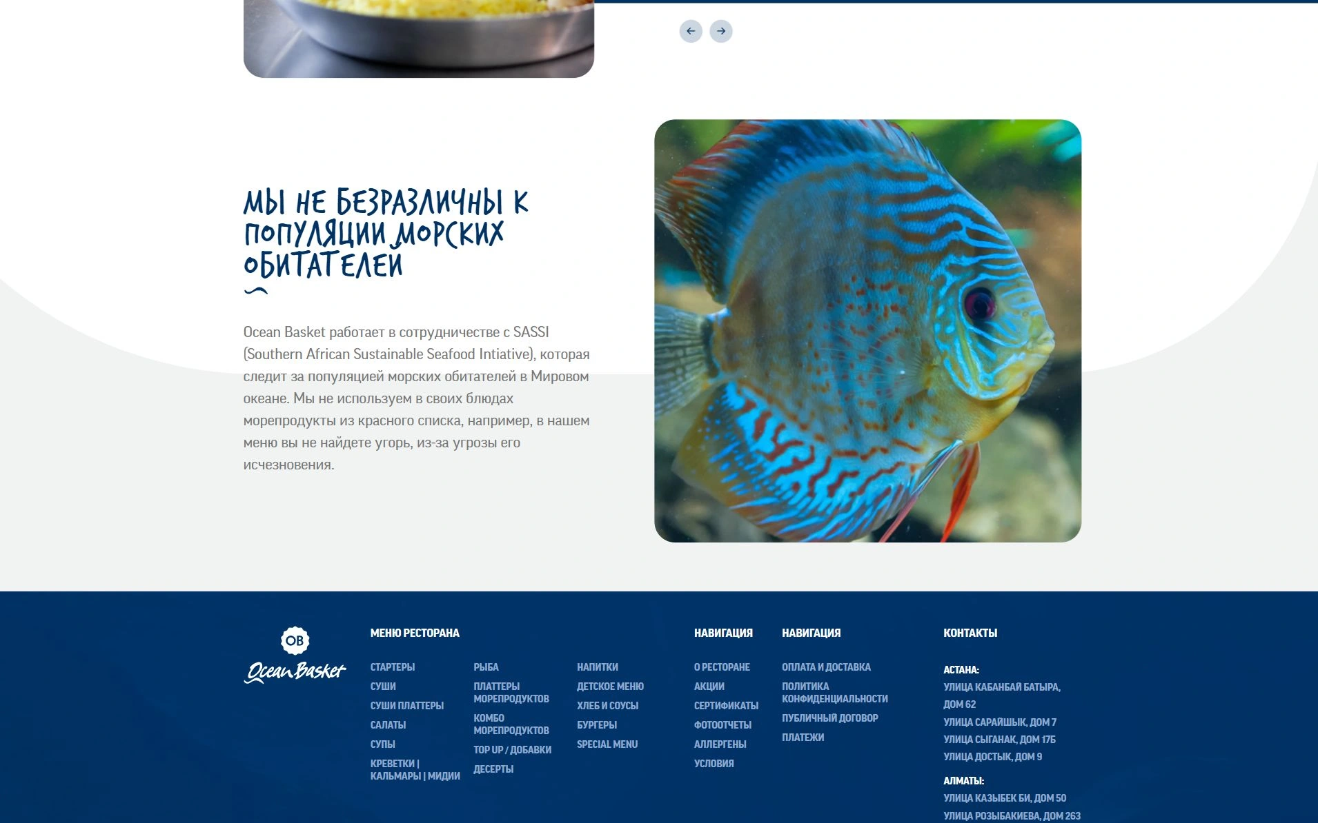 Ocean Basket тарихы