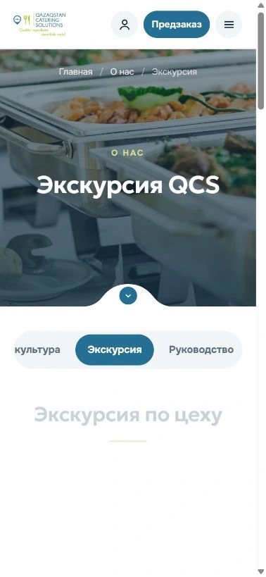 QCS мобильді беті