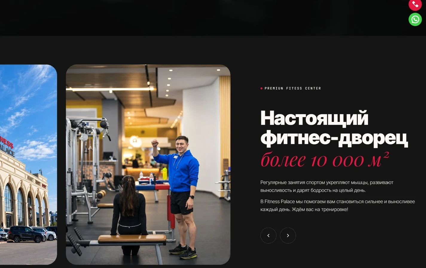Fitness Palace жобасының визуалды тілі