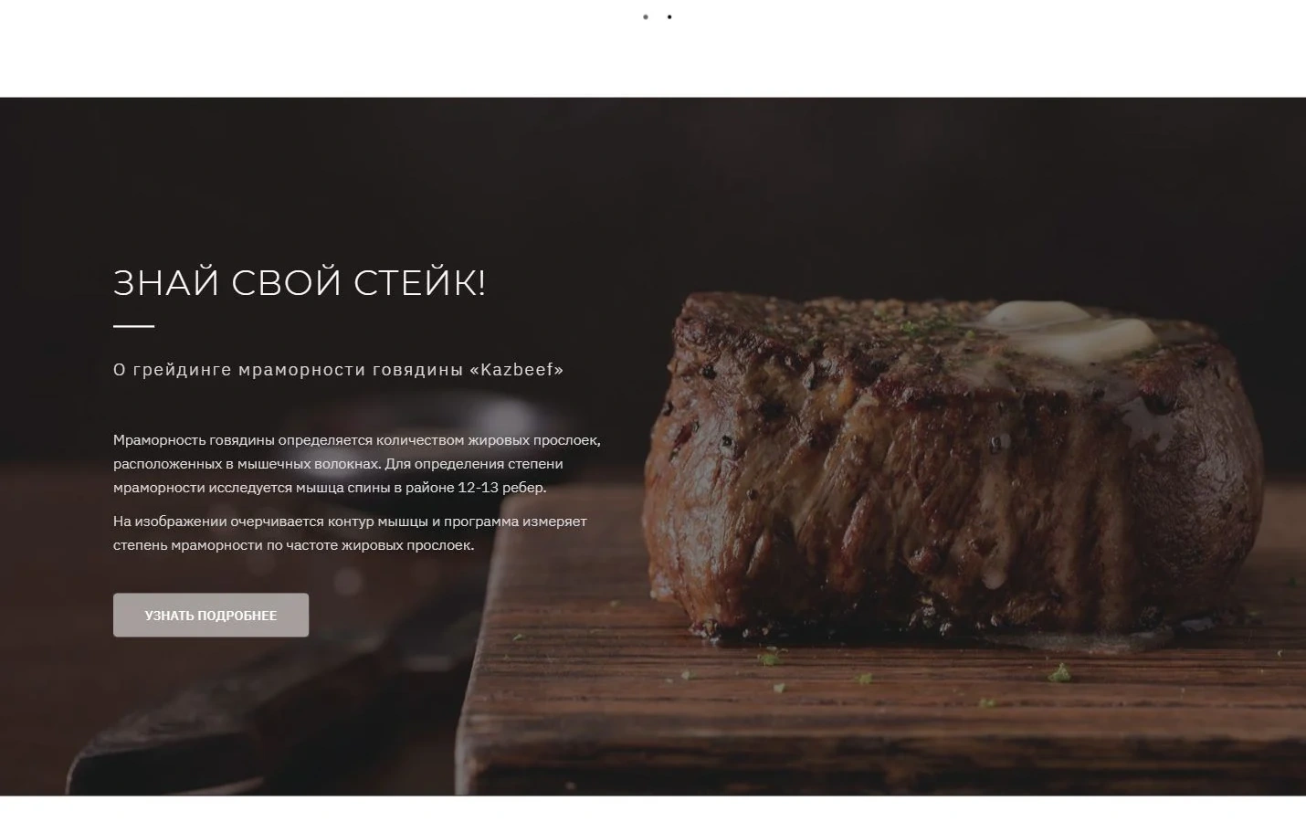 Kazbeef жобасының визуалды тілі