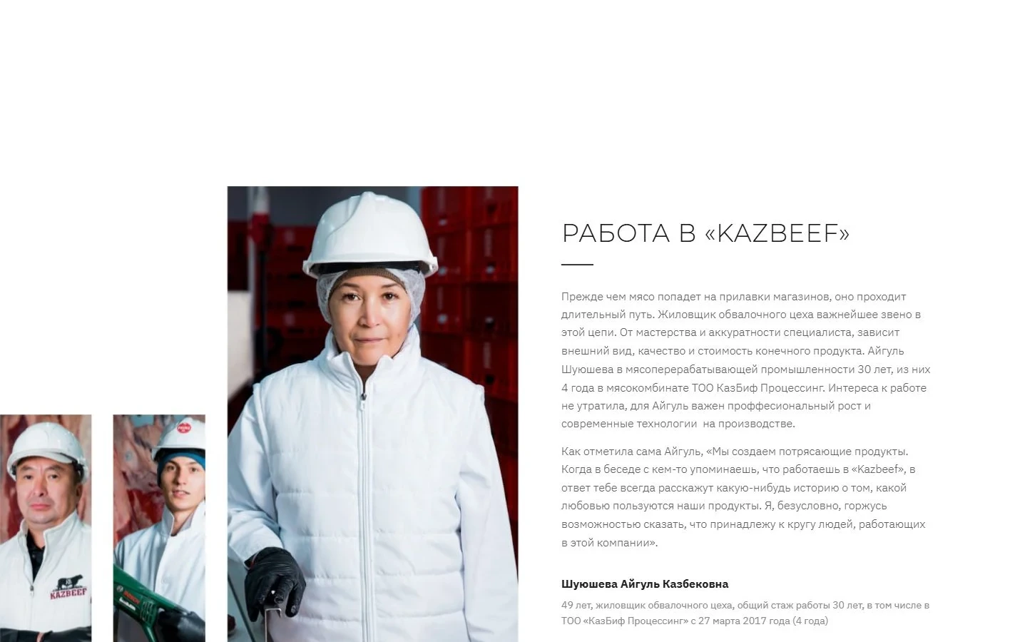 Kazbeef жобасының визуалды тілі
