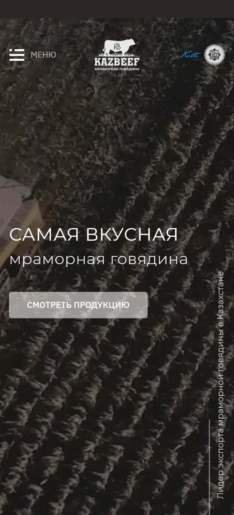 Kazbeef мобильді нұсқасы