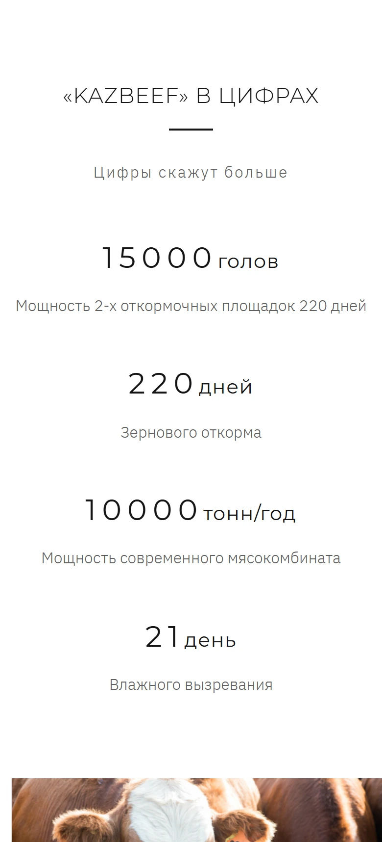 Kazbeef мобильді экраны
